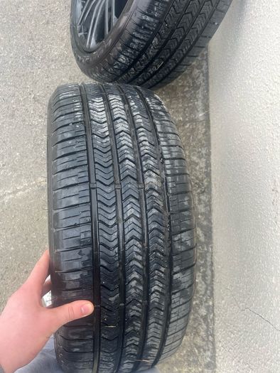 alloys