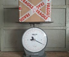 Salter Model 250 Industrial Scales