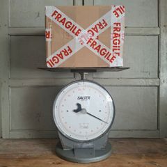 Salter Model 250 Industrial Scales