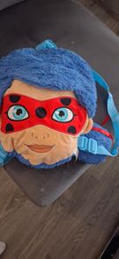 Teddy bag