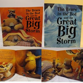 The Bears in the Bed and The Great Big Storm Story book