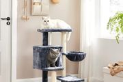 New Small Cat Condo Tower Play Area - FREE Delivery