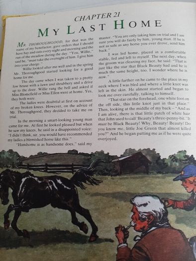 Black beauty vintage 1985 annual