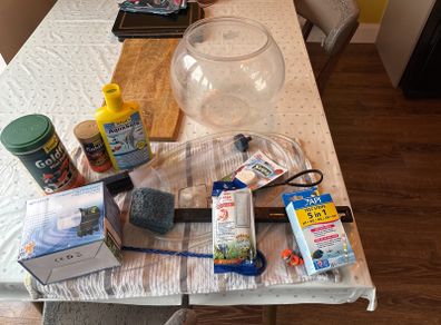 Fish Tank