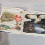 Ladybird Books x10 80s Image 10