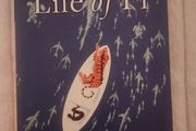 Life of Pi