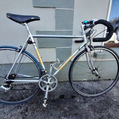 Rapparee 1989 bicycle