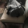 Gym bag, good condition Image 4