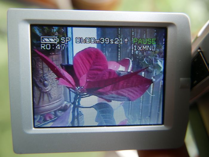 Panasonic NV-DS65 Digital Camcorder , (charger, tape and bag) works well