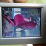 Panasonic NV-DS65 Digital Camcorder , (charger, tape and bag) works well Image 6