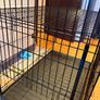 Petworld Premium Giant Dog Crate, Sliding Doors, Foldable, 122cm Image 4