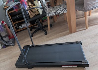 Walking Pad/Treadmill