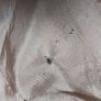 Vintage Brian Tucker, Dublin , wool jacket Image 5