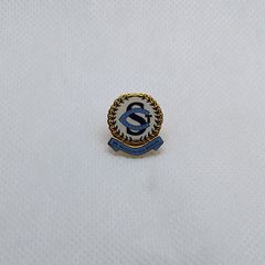 St. Catherines Girls School , Melbourne ,  Australia. Lapel Pin Badge