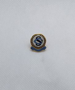 St. Catherines Girls School , Melbourne ,  Australia. Lapel Pin Badge