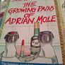 Adrian Mole Image 3