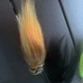 flies  for pike ( need tail) Image 2