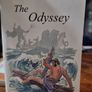 The Odyssey (three different translations) and The Iliad bundle Image 7