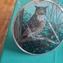 owl Image 2