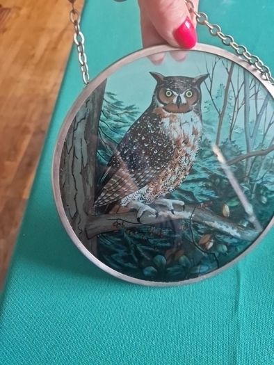 owl