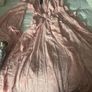 Pink Maxi dress Image 6