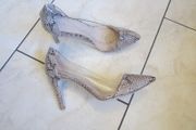 REPTILE colour    size 7