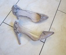 REPTILE colour    size 7