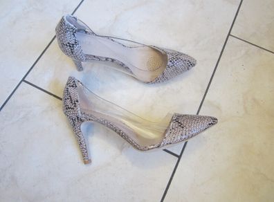 REPTILE colour    size 7
