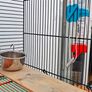 Gerbil/Hamster cage Image 5