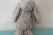 Teddy rabit