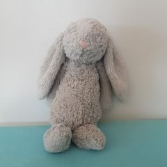 Teddy rabit