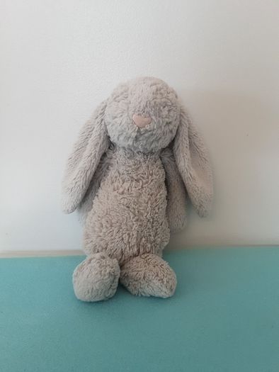 Teddy rabit