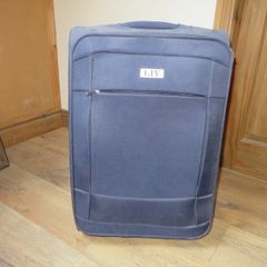 Travel Luggage (45L)