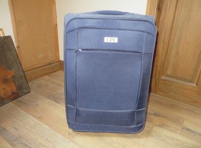 Travel Luggage (45L)