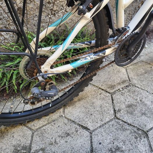 bike, ladies or teen bicycle