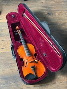 Violin