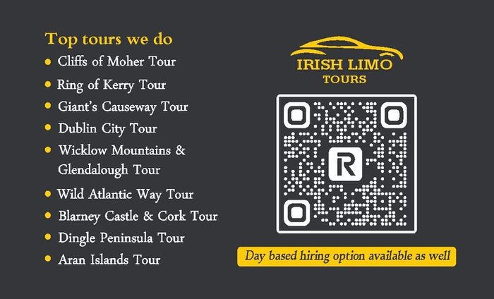 Local Handyman & sightseeing - Chauffeur driven - Airport transfers limousine