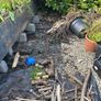 firewood Image 2