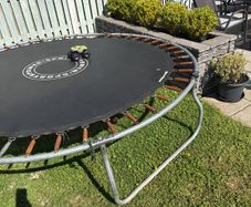 trampoline