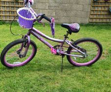Kids Bike 20 Inch Verve - Purple
