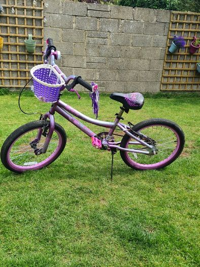 Kids Bike 20 Inch Verve - Purple