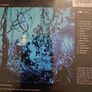 Enya - Shepherd Moon. Image 2