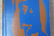 Bird Alone Sean O'Faolain Millington 1973 Irish Fiction