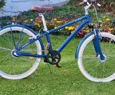 Youngsters Unisex Bike No Offers