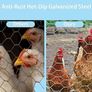 FREE P&P Chicken Wire Mesh, 35cm x 6m Galvanized Hexagonal Garden Netting Fencing, for Pet Poultry Animal Rabbit Chicken Fencing/DIY Craft and Home Decoration Image 5