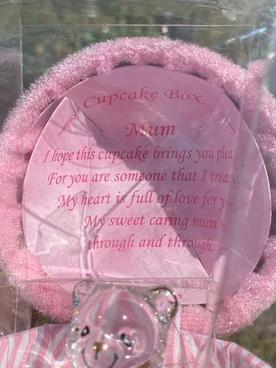Cupcake Box