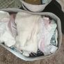 Girls clothes Image 2