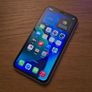 Iphone 11, Registered post included Image 2