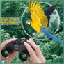 Aurosports Binoculars Compact with Weak Light Vision, Easy Focus Lightweight High Powered Binoculars for Bird Watching Image 7