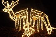 Indoor/Outdoor Light Rope Reindeer Family Large Stag, Doe And Baby With Warm White Lights